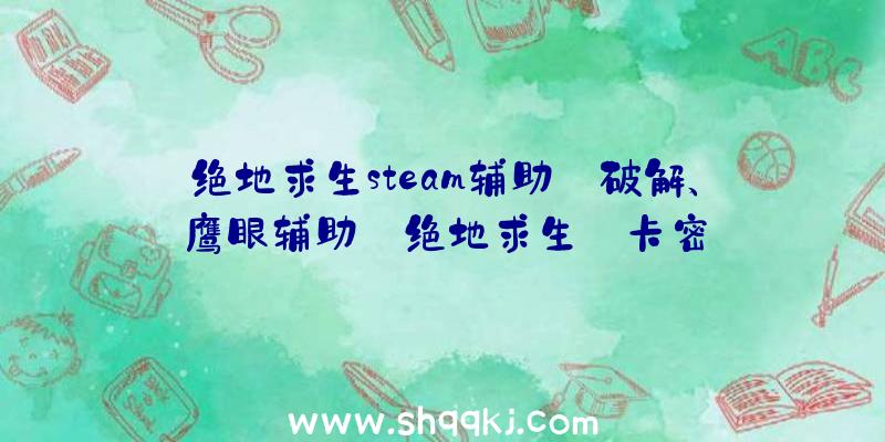 绝地求生steam辅助